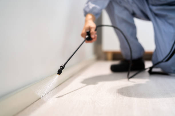Professional exterminator conducting IPM assessment in Raymore