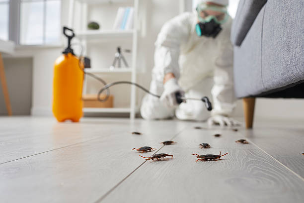 Commercial Rodent Management in Raymore